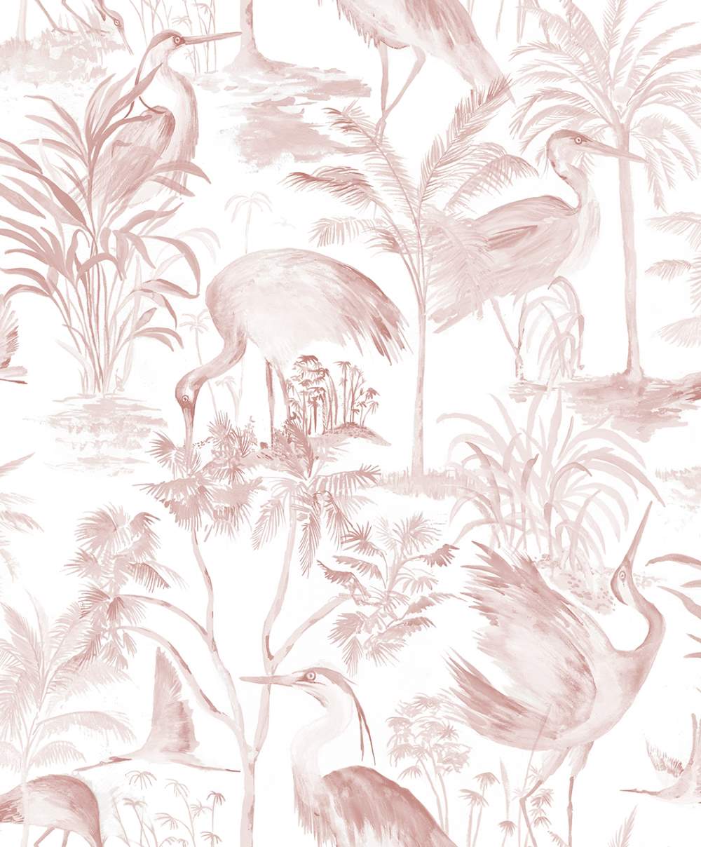 SPIRIT OF JUNGLE - Dezen