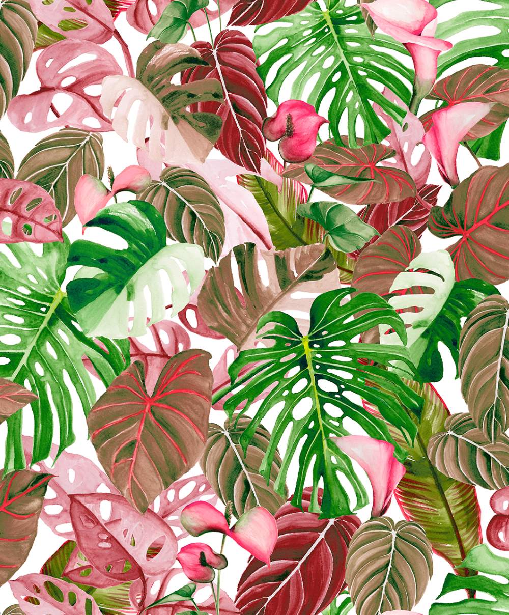 SPIRIT OF JUNGLE - Dezen