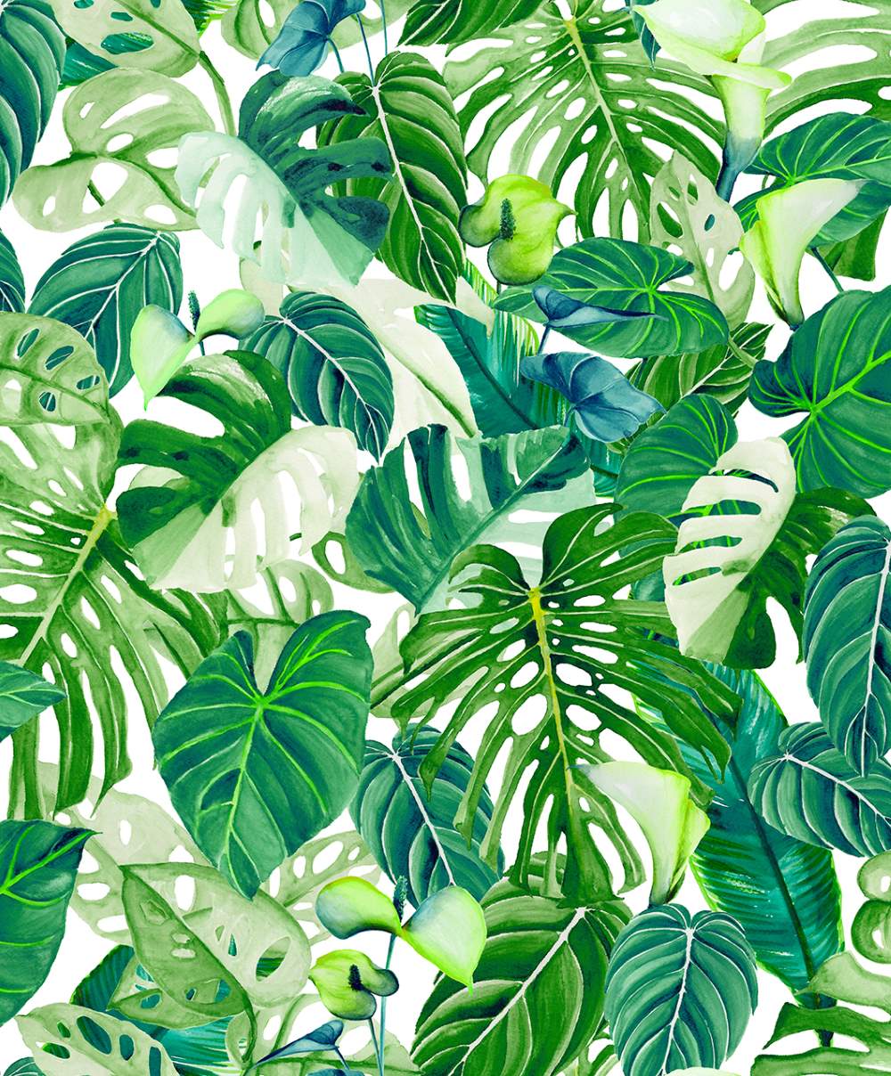 SPIRIT OF JUNGLE - Dezen